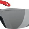 Safety Glasses PP EY-GU G HC/AF Grey